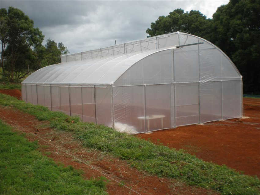 Sawtooth Plastic Film Greenhouse Top Ventilation GT Home
