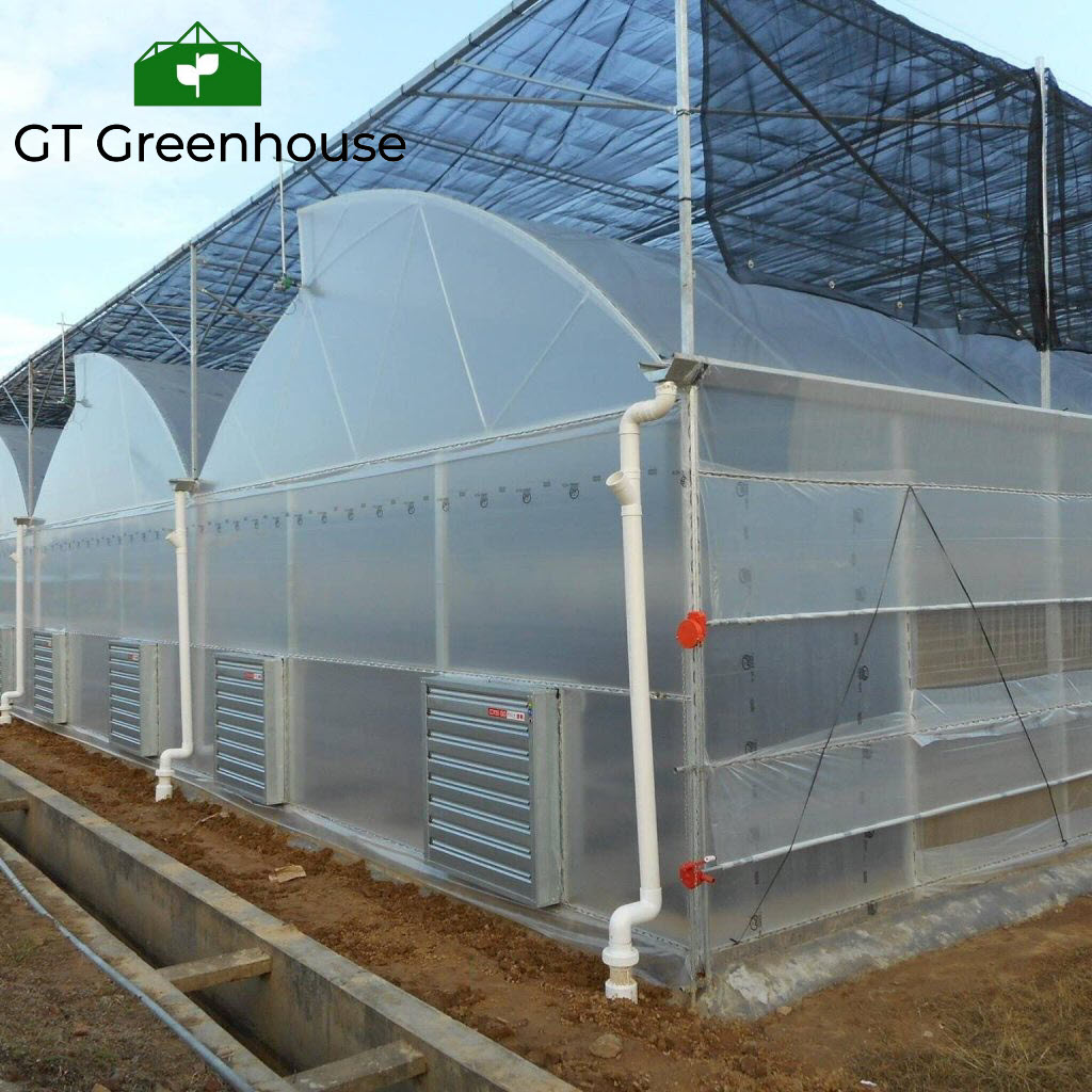 Sawtooth Plastic Film Greenhouse Top Ventilation GT Home