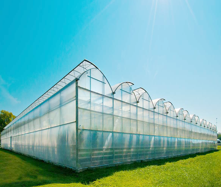 Sawtooth Plastic Film Greenhouse Top Ventilation GT Home
